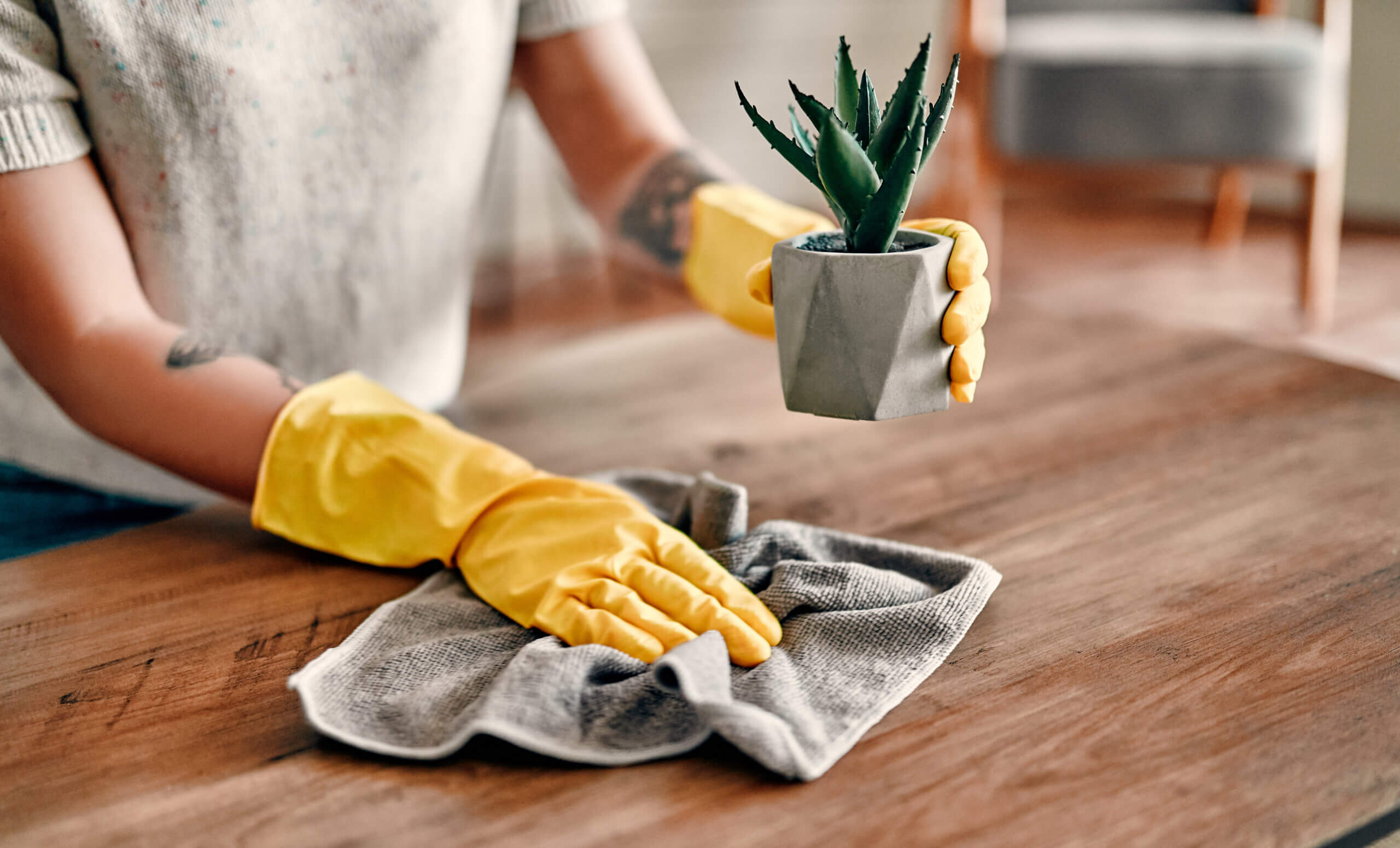 A person wearing yellow rubber gloves is cleaning a wooden table with a gray cloth while holding a small potted succulent plant. The person is wearing a short-sleeve shirt. A blurred chair is in the background.