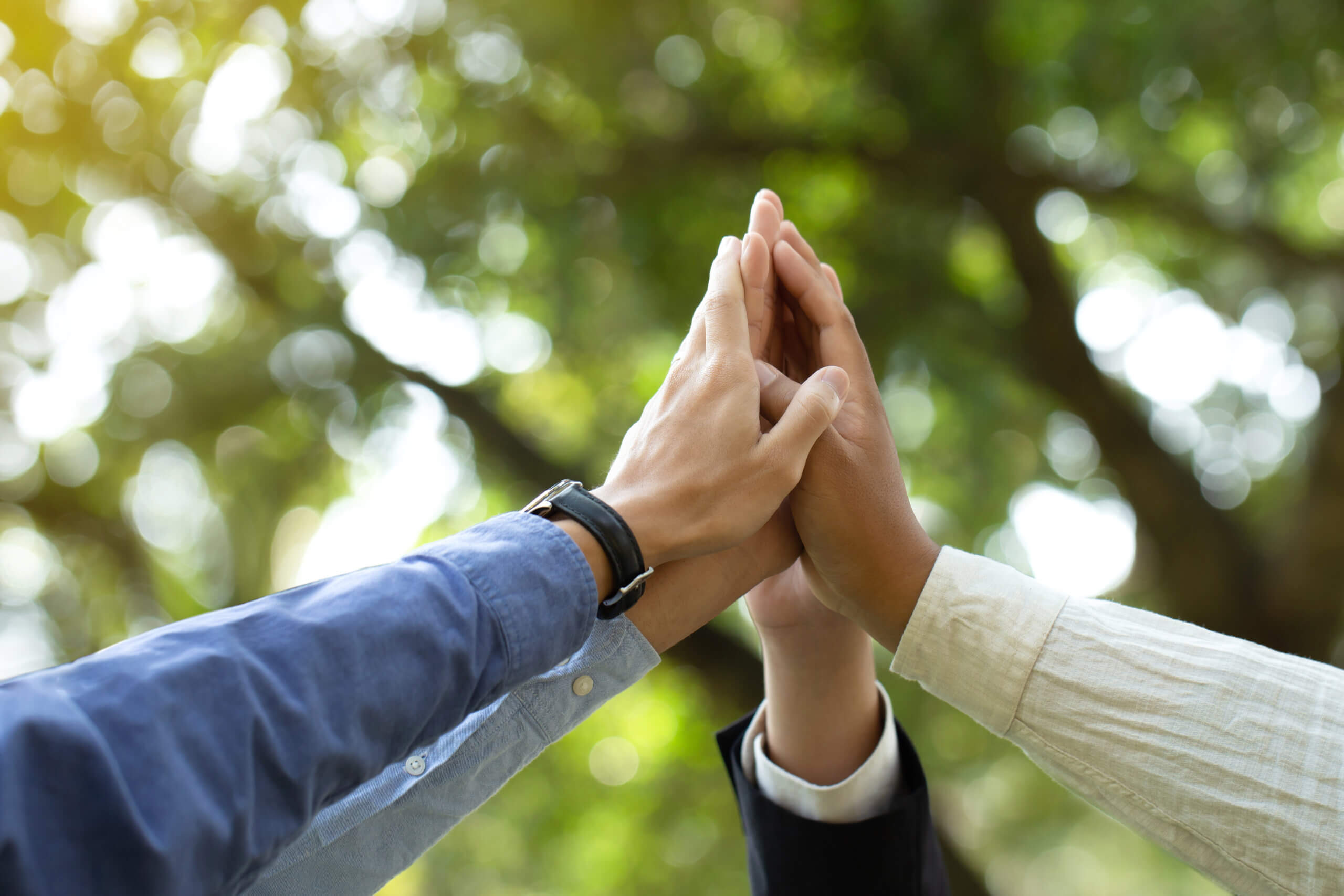 Close-up of four hands from different individuals coming together for a high-five. The background is a blurred view of green trees, suggesting an outdoor setting. The hands display various skin tones and clothing styles.