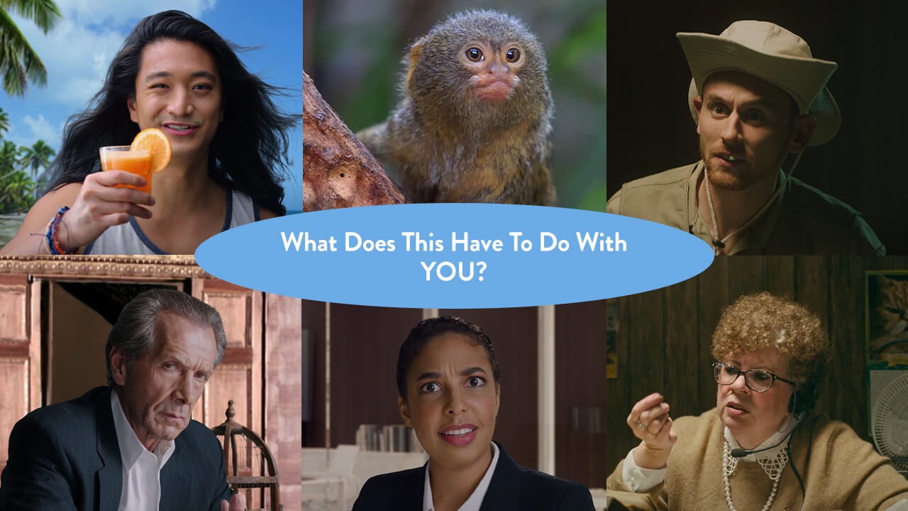 A collage of six images: a person holding a drink, a small monkey, a person in a hat, an older man, a person in a suit, and a person in glasses with curly hair. A blue bubble in the center reads, "What Does This Have To Do With YOU?.