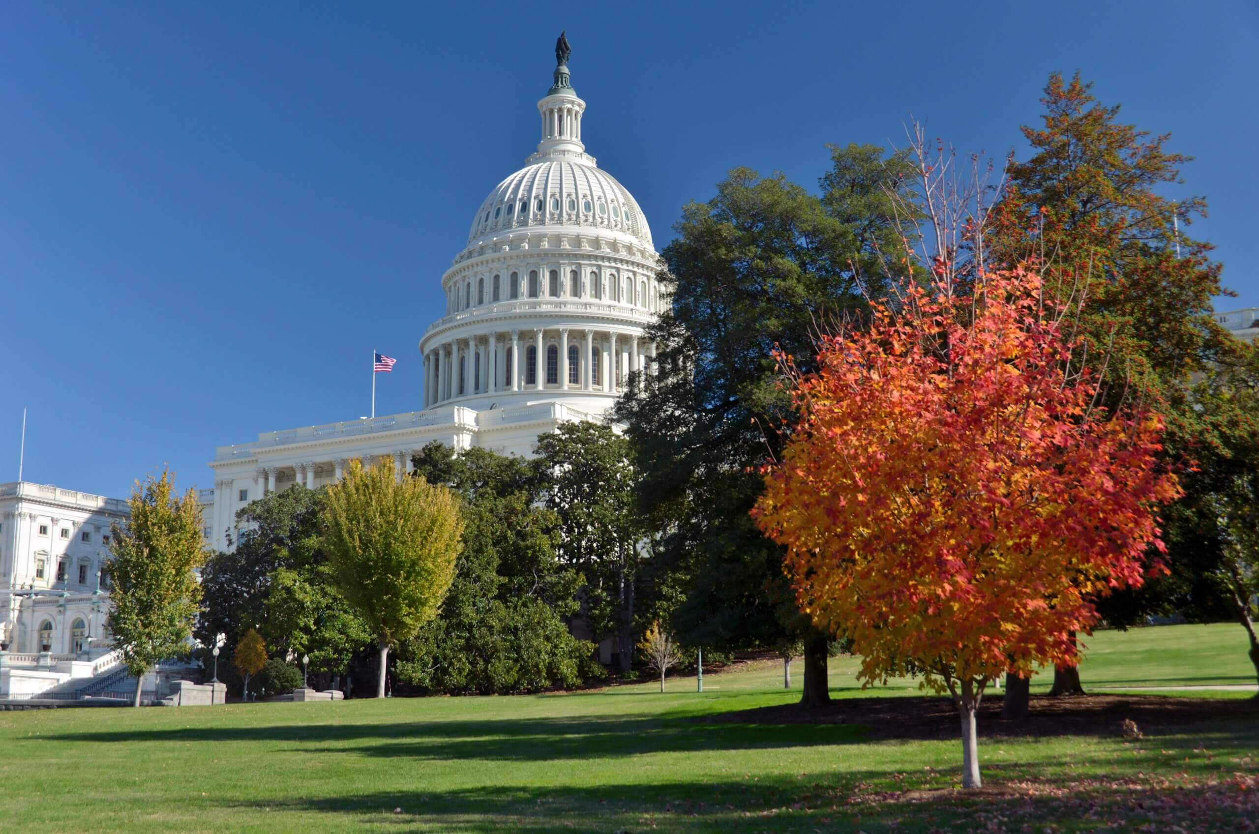 The U.S. Capitol building with its white dome stands under a clear blue sky. The foreground features a vibrant autumn tree with orange leaves alongside lush green trees, and an American flag waves towards the top left.