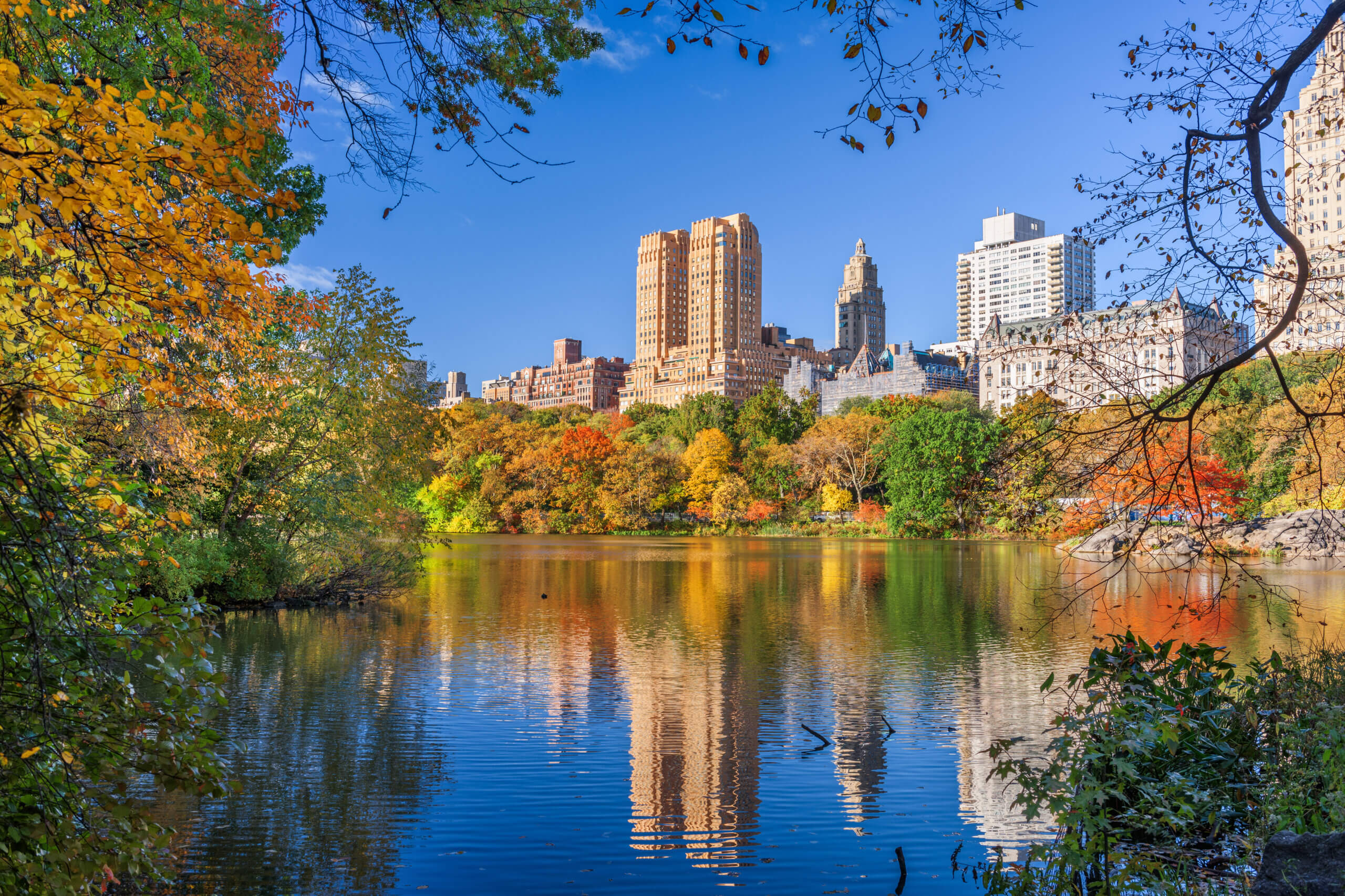 A tranquil lake reflecting vibrant autumn trees and skyscrapers in Central Park, NYC. Bright blue sky and colorful foliage create a picturesque scene, framed by leaves and branches.