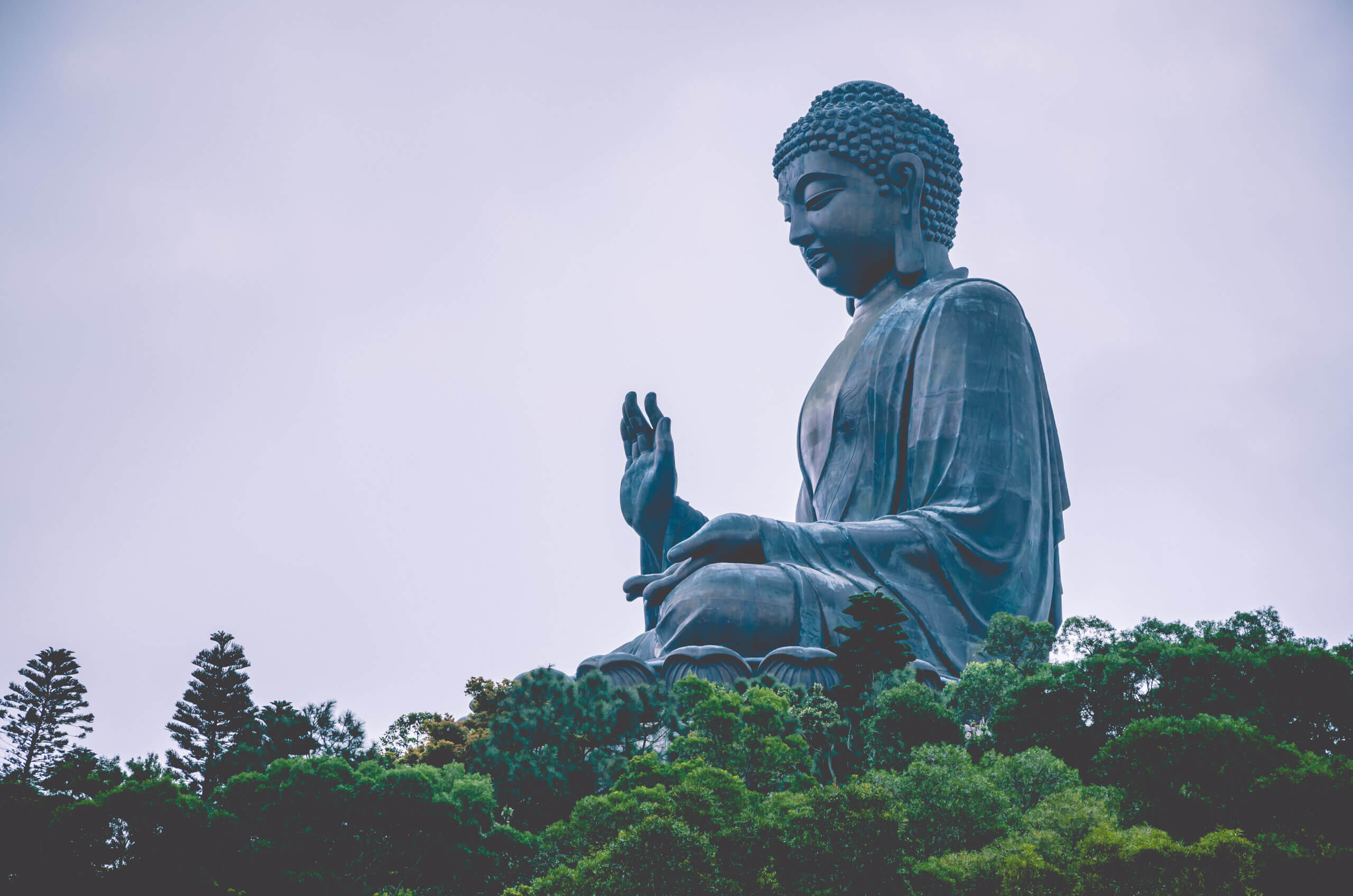 A large statue of Buddha sits in a meditative pose with one hand raised, surrounded by lush green trees. The sky is overcast, giving a serene and peaceful atmosphere to the scene.