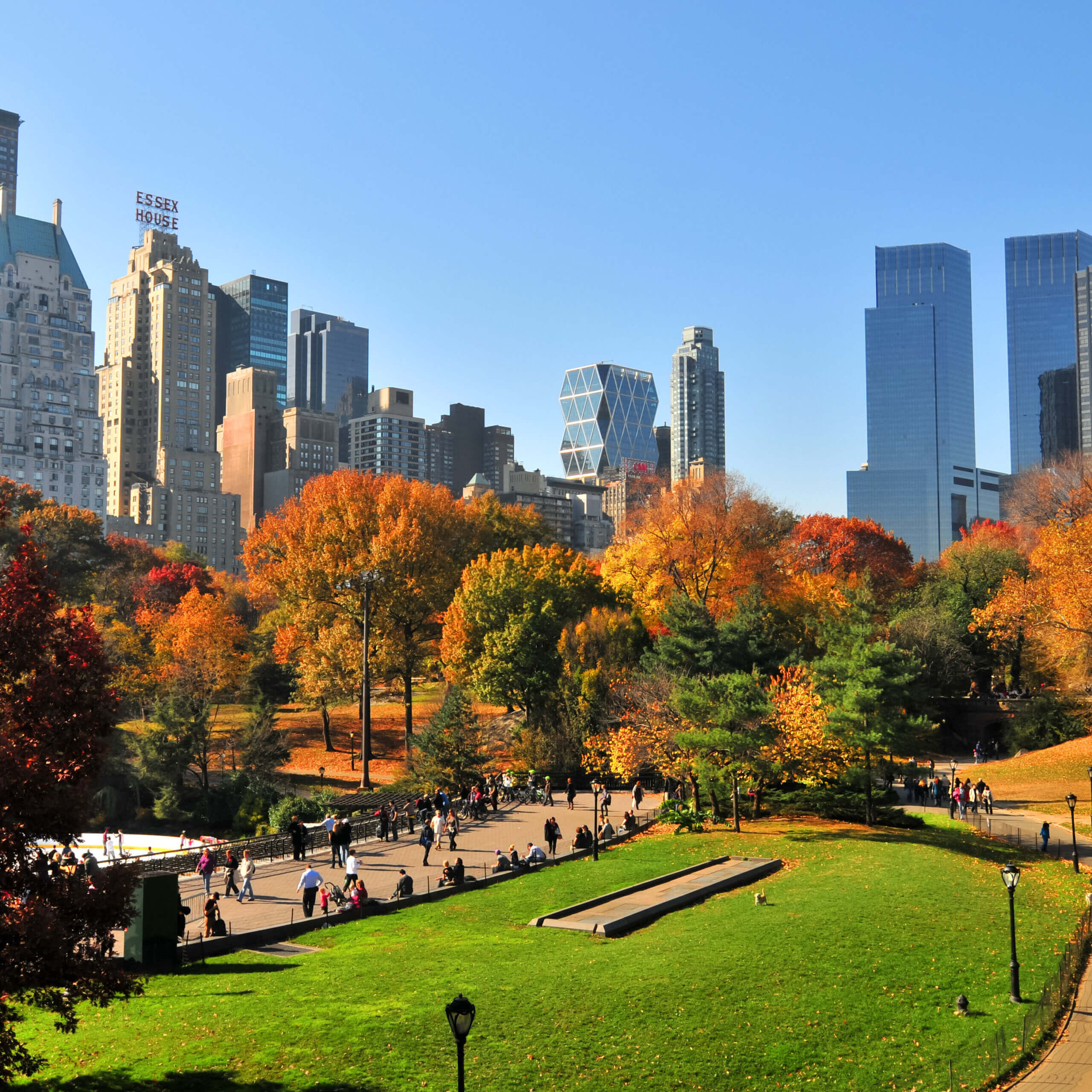 People walk and relax in Central Park, New York City, surrounded by colorful autumn trees, with tall modern and historic skyscrapers rising in the background under a clear blue sky.